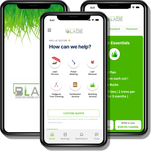 EcoBlade: Revolutionizing Lawn Care