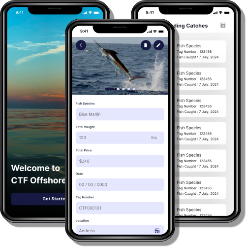 CTF Offshore: Streamlining the Fishing Market with Digital Solutions