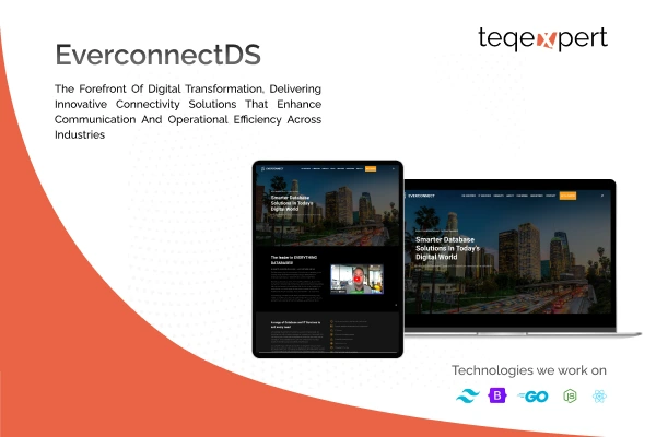 EverconnectDS: Innovative Connectivity Solutions for Enhanced Business Efficiency